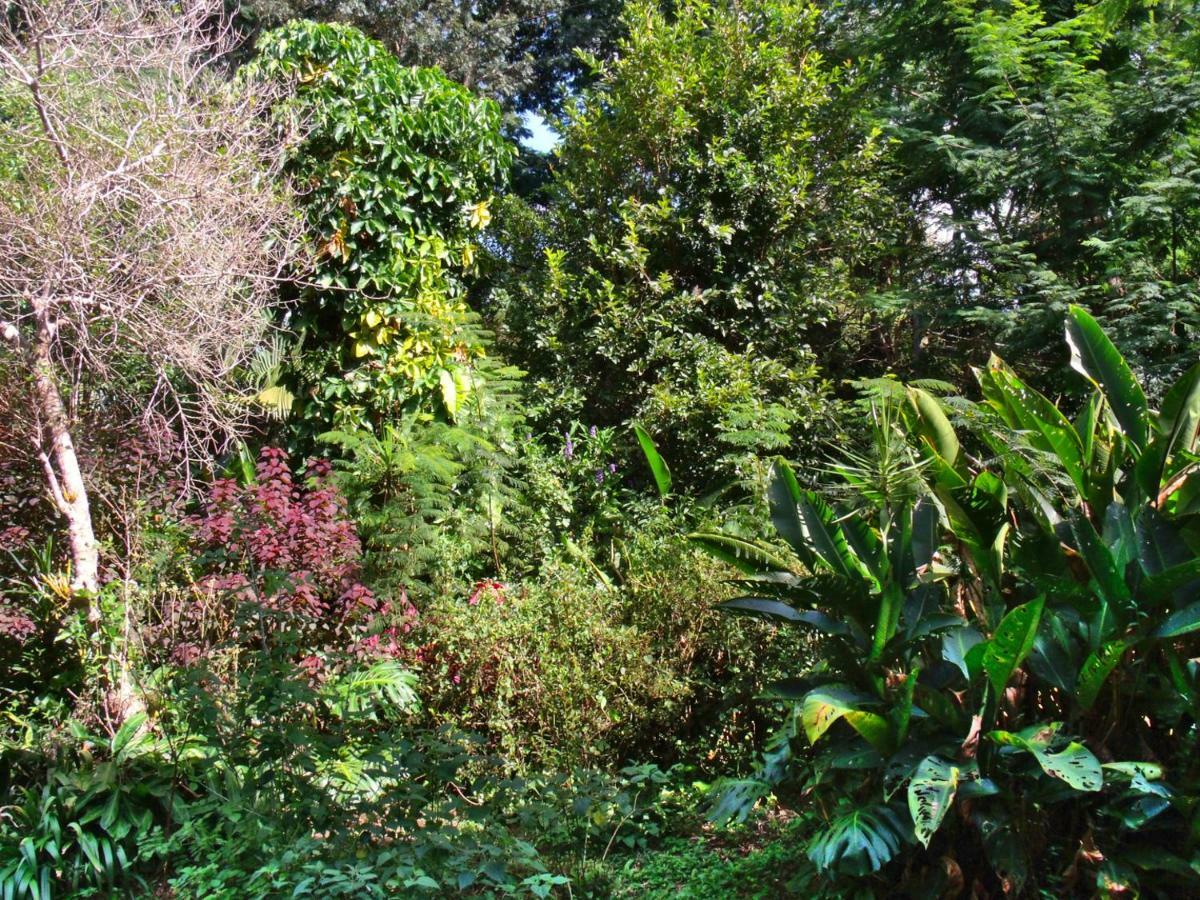 Hotel Curitiba Campo Comprido Exterior photo