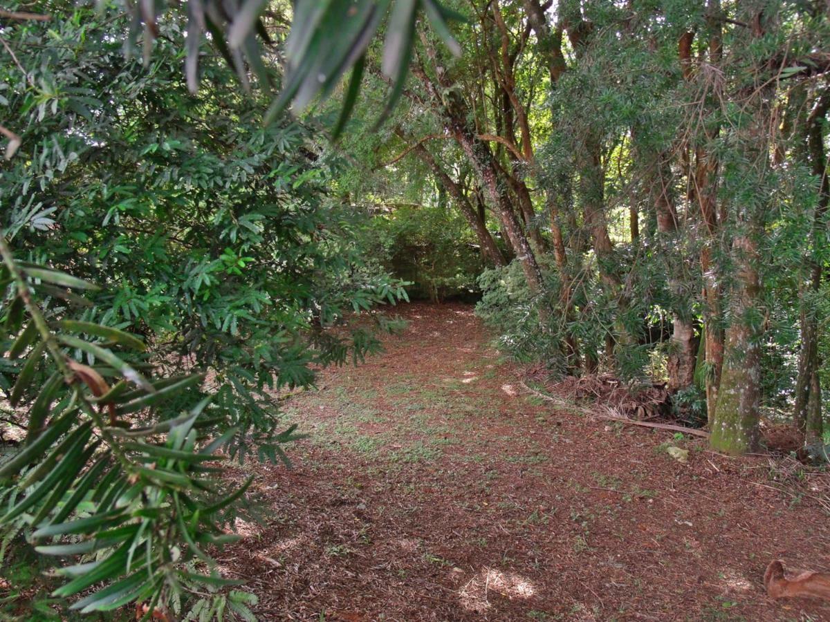 Hotel Curitiba Campo Comprido Exterior photo